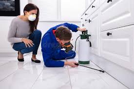 Best Residential Pest Control  in Lewisport, KY